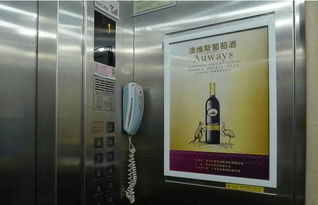 你家小区每块电梯广告屏一周能赚6000元 钱都哪去了